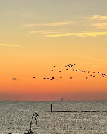 Parque de Campismo Relax Mobilhome