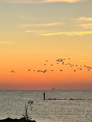 Parque de Campismo Relax Mobilhome